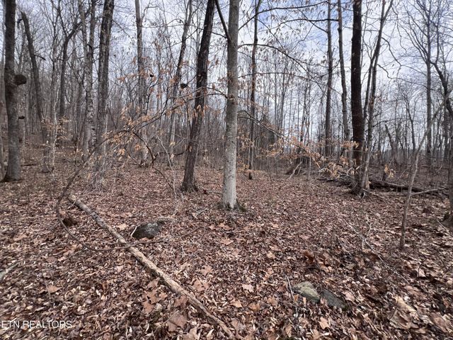 0 Buffalo Cove Lane, Jamestown, TN 38556