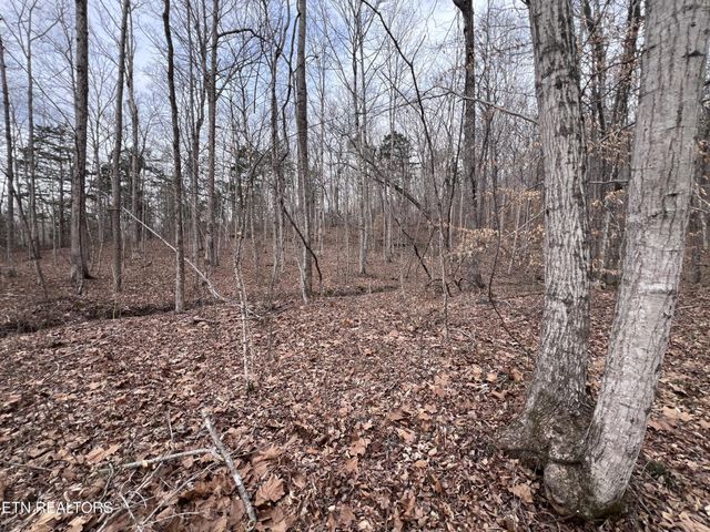 0 Buffalo Cove Lane, Jamestown, TN 38556