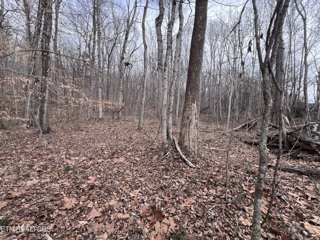 0 Buffalo Cove Lane, Jamestown, TN 38556