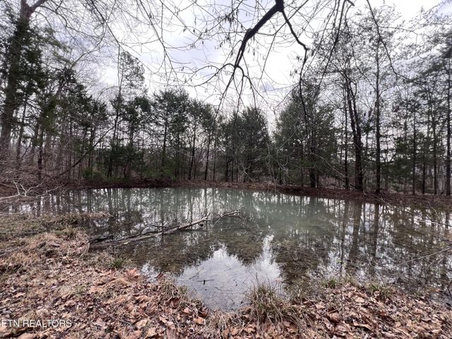 0 Buffalo Cove Lane, Jamestown, TN 38556