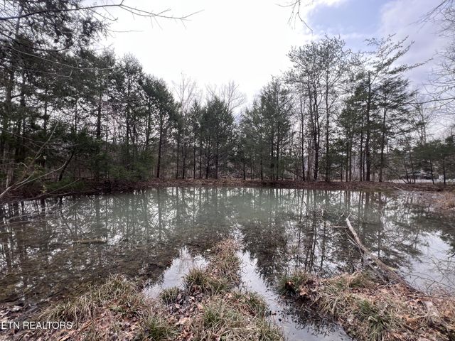 0 Buffalo Cove Lane, Jamestown, TN 38556