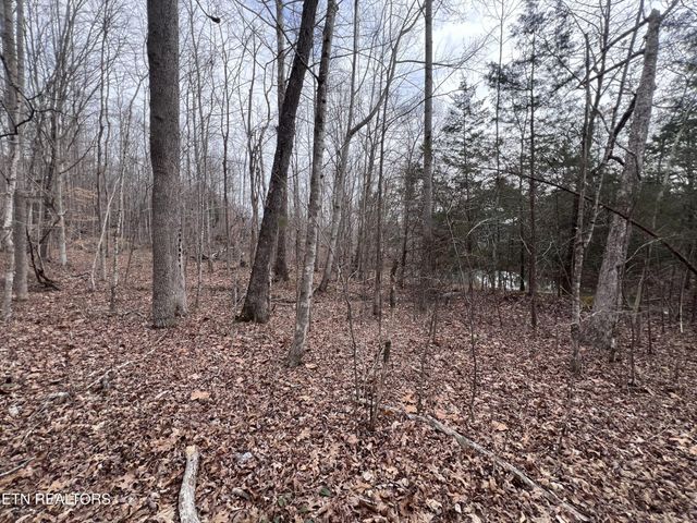 0 Buffalo Cove Lane, Jamestown, TN 38556