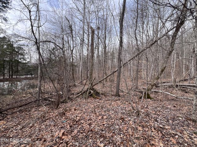 0 Buffalo Cove Lane, Jamestown, TN 38556