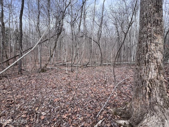 0 Buffalo Cove Lane, Jamestown, TN 38556