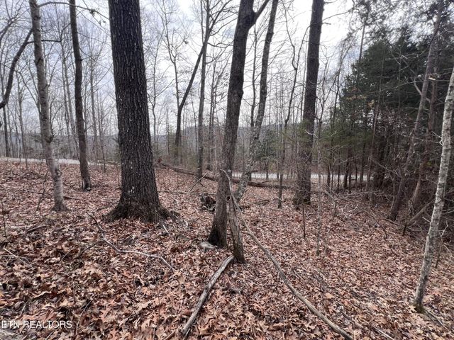 0 Buffalo Cove Lane, Jamestown, TN 38556