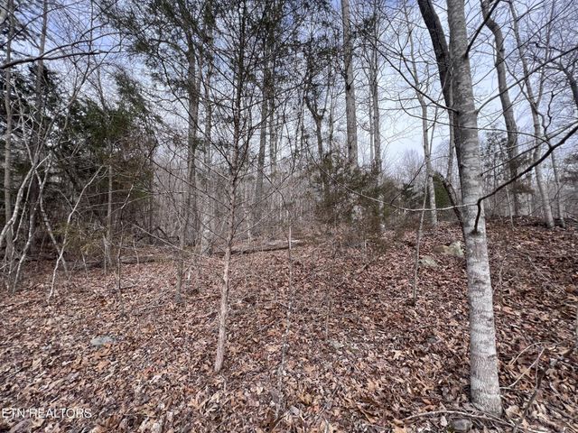 0 Buffalo Cove Lane, Jamestown, TN 38556