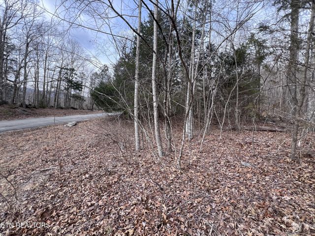 0 Buffalo Cove Lane, Jamestown, TN 38556