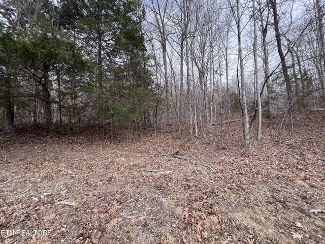 0 Buffalo Cove Lane, Jamestown, TN 38556