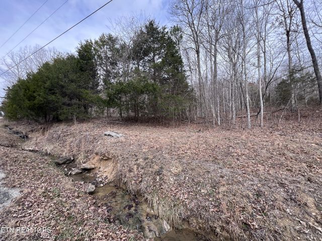 0 Buffalo Cove Lane, Jamestown, TN 38556