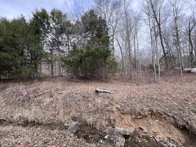 0 Buffalo Cove Lane, Jamestown, TN 38556