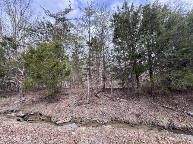 0 Buffalo Cove Lane, Jamestown, TN 38556