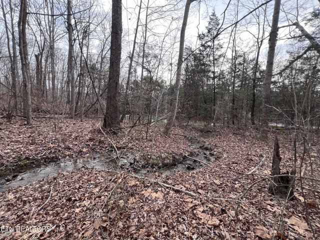 0 Buffalo Cove Lane, Jamestown, TN 38556