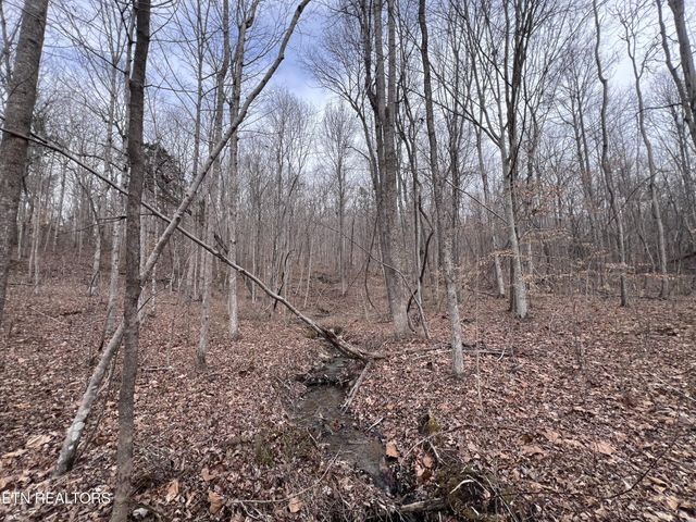 0 Buffalo Cove Lane, Jamestown, TN 38556