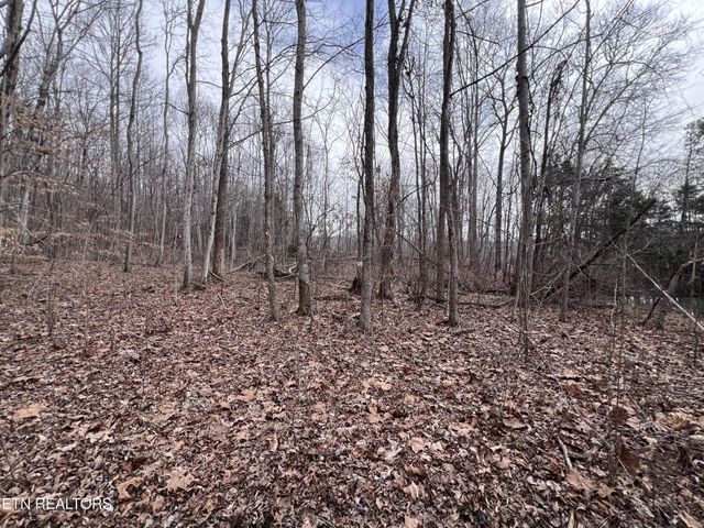 0 Buffalo Cove Lane, Jamestown, TN 38556