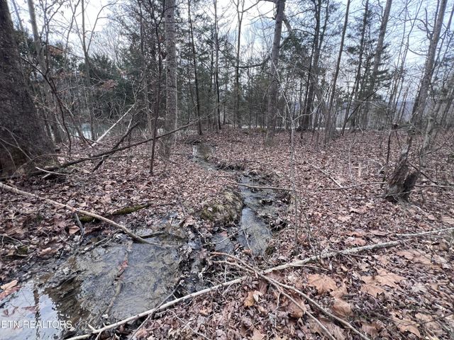 0 Buffalo Cove Lane, Jamestown, TN 38556