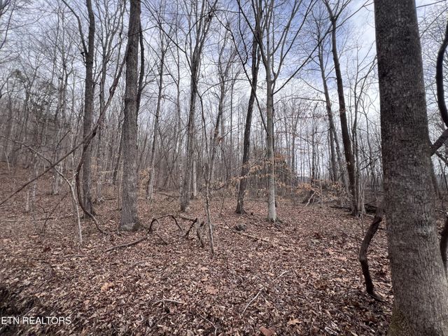 0 Buffalo Cove Lane, Jamestown, TN 38556