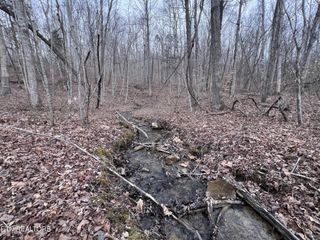 0 Buffalo Cove Lane, Jamestown, TN 38556