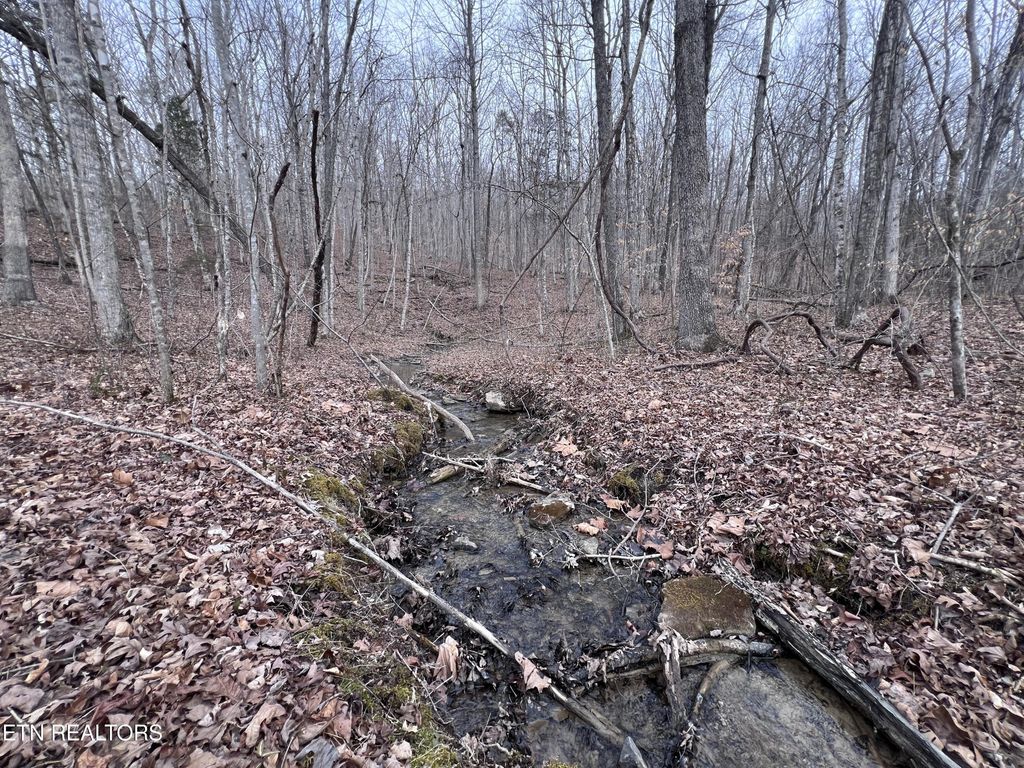 0 Buffalo Cove Lane, Jamestown, TN 38556