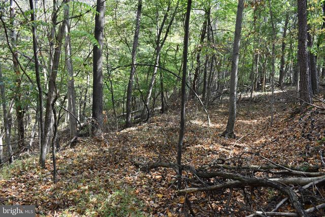 19 MOUNTAIN LAUREL DR, Berkeley Springs, WV 25411