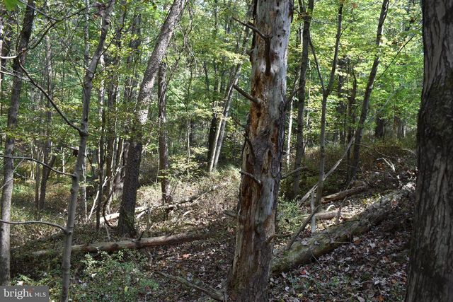 19 MOUNTAIN LAUREL DR, Berkeley Springs, WV 25411