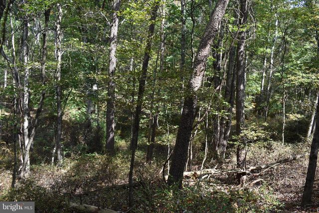 19 MOUNTAIN LAUREL DR, Berkeley Springs, WV 25411