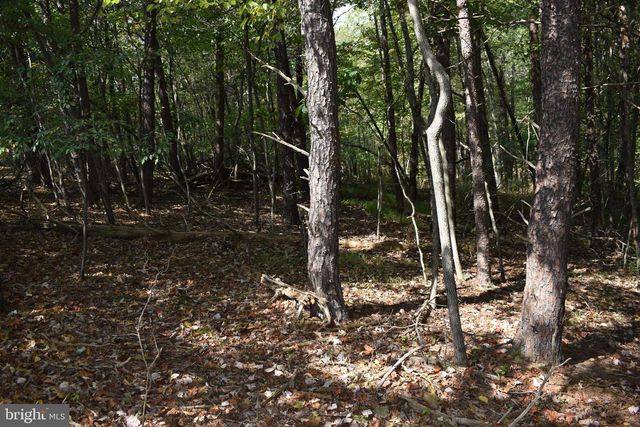 19 MOUNTAIN LAUREL DR, Berkeley Springs, WV 25411