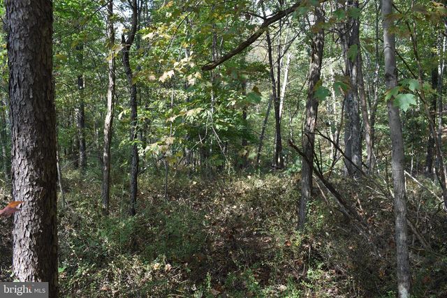 19 MOUNTAIN LAUREL DR, Berkeley Springs, WV 25411