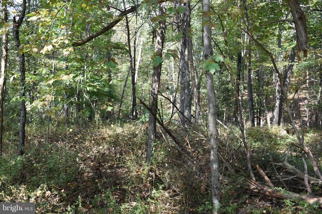 19 MOUNTAIN LAUREL DR, Berkeley Springs, WV 25411