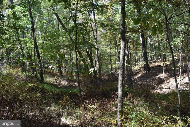 19 MOUNTAIN LAUREL DR, Berkeley Springs, WV 25411