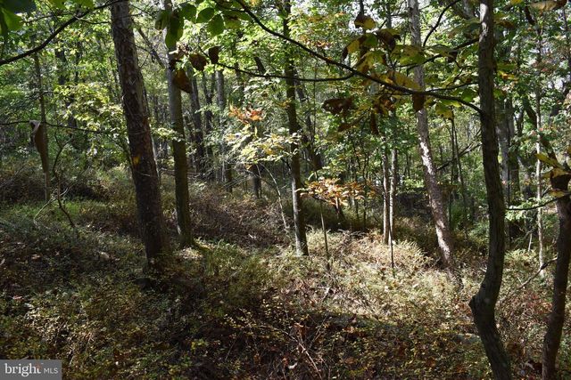 19 MOUNTAIN LAUREL DR, Berkeley Springs, WV 25411