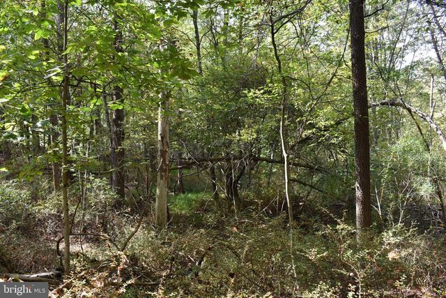 19 MOUNTAIN LAUREL DR, Berkeley Springs, WV 25411