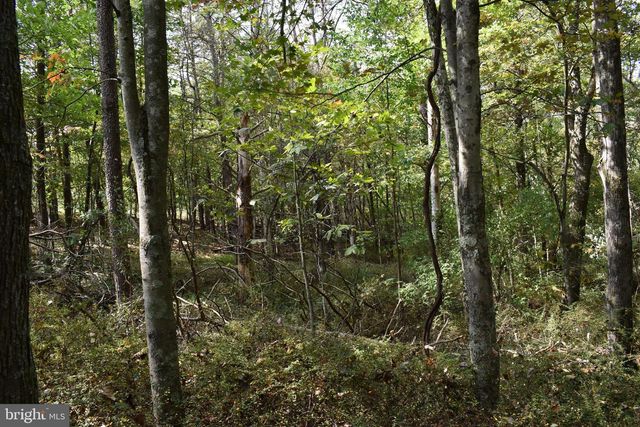 19 MOUNTAIN LAUREL DR, Berkeley Springs, WV 25411