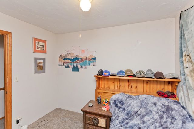 25352 Cedar Mesa Road, Cedaredge, CO 81413