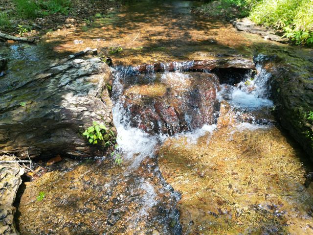 422 Golden View Ln, Hampshire, TN 38461