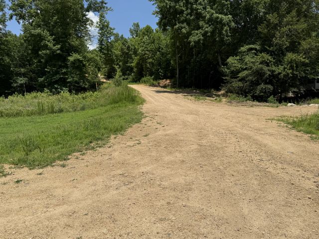 422 Golden View Ln, Hampshire, TN 38461