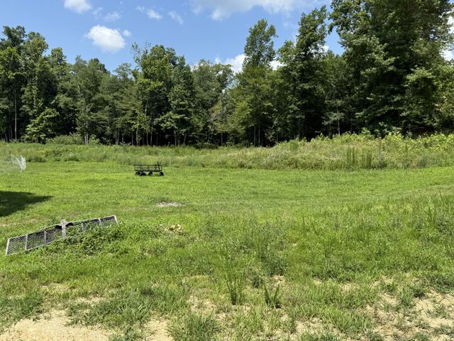 422 Golden View Ln, Hampshire, TN 38461