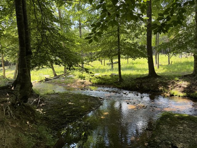 422 Golden View Ln, Hampshire, TN 38461
