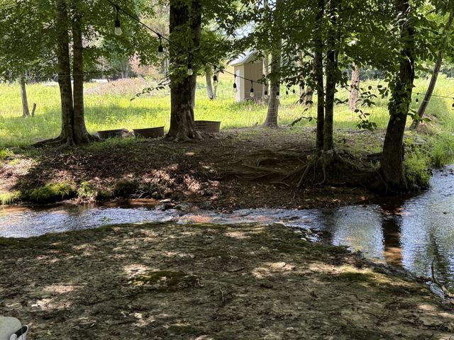 422 Golden View Ln, Hampshire, TN 38461
