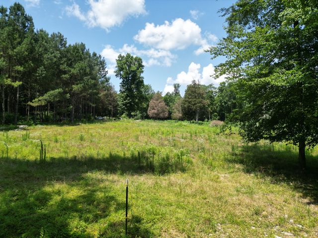 422 Golden View Ln, Hampshire, TN 38461