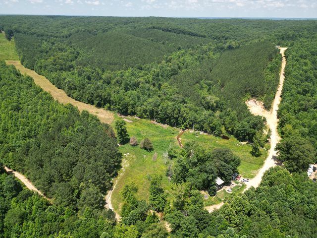 422 Golden View Ln, Hampshire, TN 38461