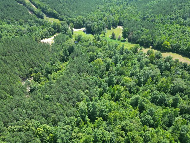 422 Golden View Ln, Hampshire, TN 38461
