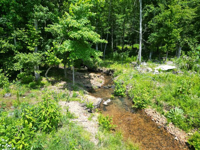 422 Golden View Ln, Hampshire, TN 38461