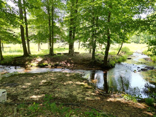 422 Golden View Ln, Hampshire, TN 38461