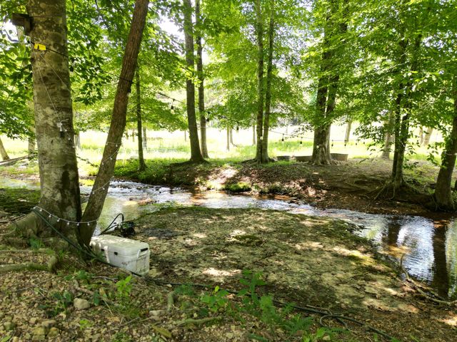 422 Golden View Ln, Hampshire, TN 38461