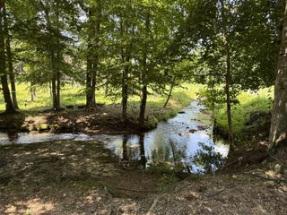 422 Golden View Ln, Hampshire, TN 38461