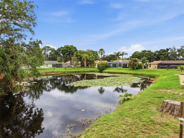 3341 PLAYER DRIVE, New Port Richey, FL 34655