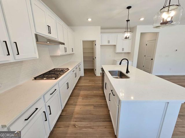 48 Silverleaf Trail, Bethlehem, GA 30620