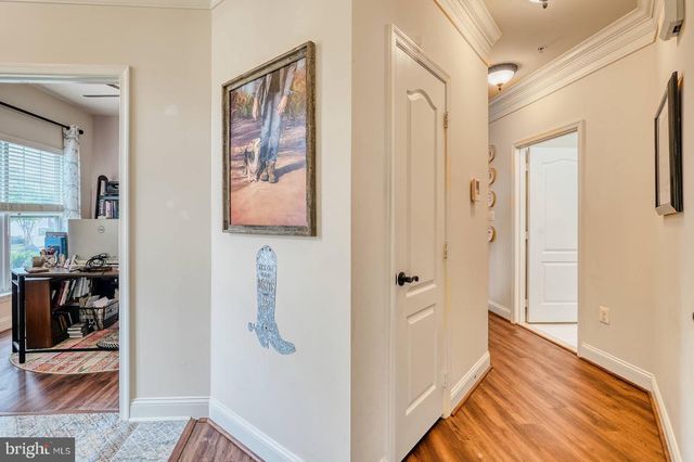 7316 BRAMBLEBUSH TER, Laurel, MD 20707
