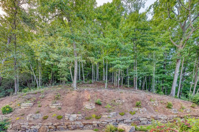280 Point Of View Road, Blue Ridge, GA 30513