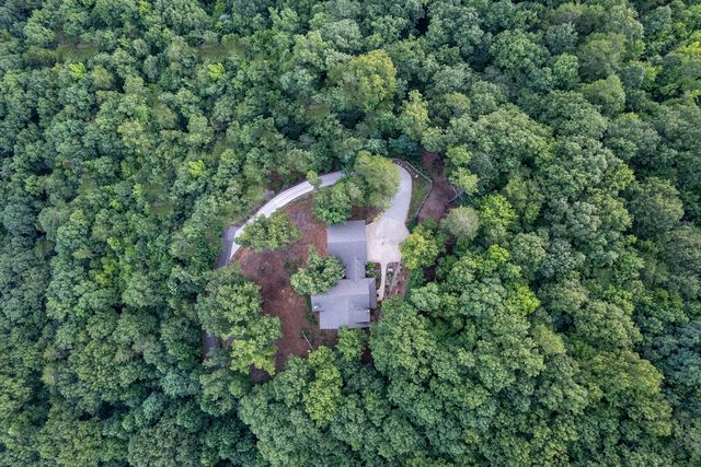 280 Point Of View Road, Blue Ridge, GA 30513
